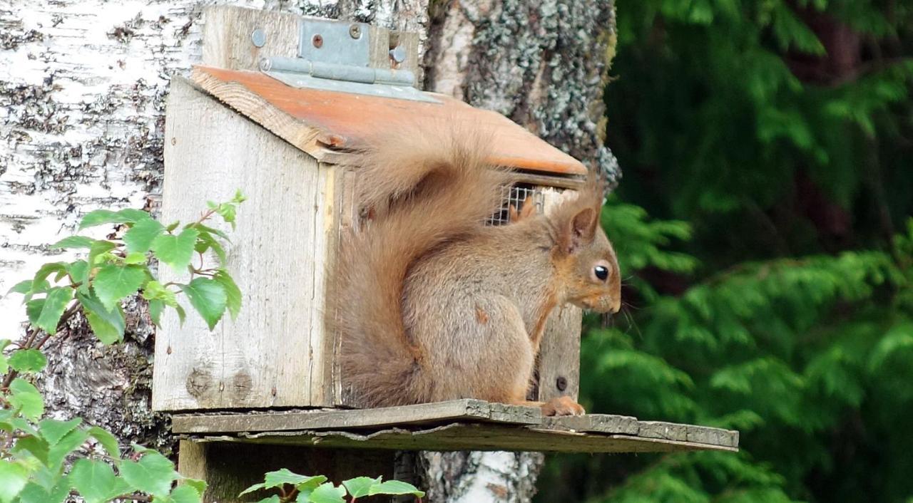 Willa Bunroy Park Fort William Zewnętrze zdjęcie